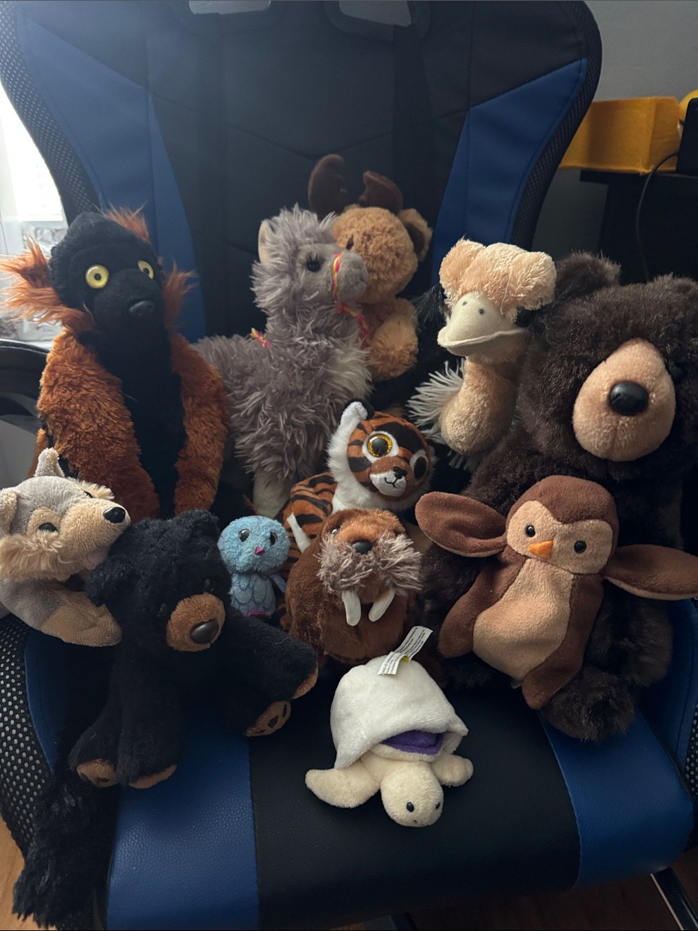 Plush Zoo Animal Assortment